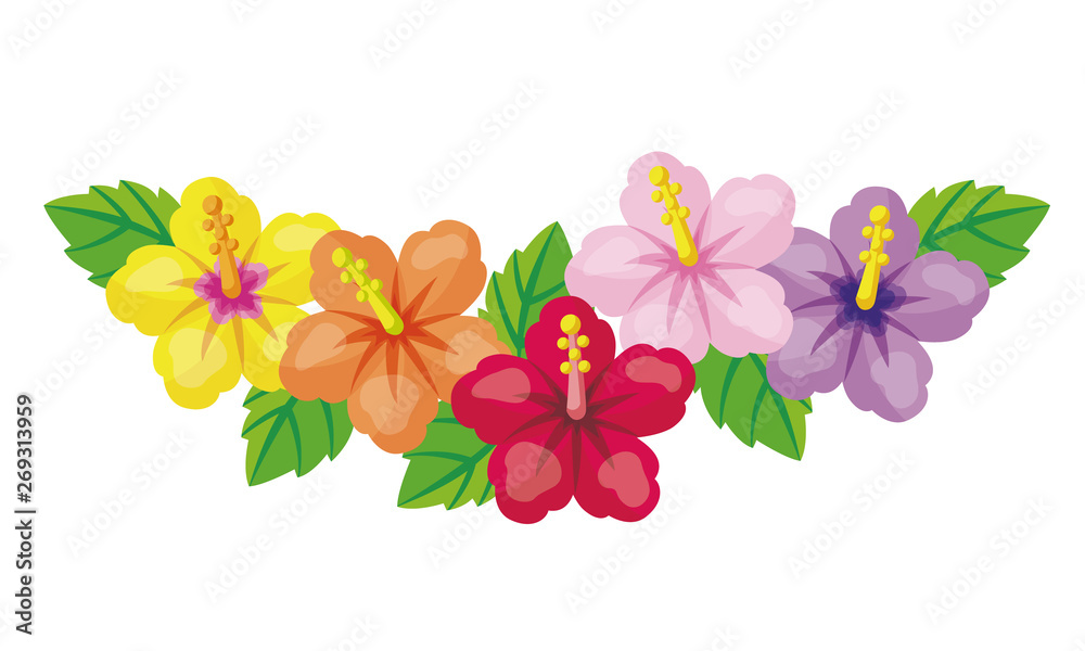 かわいいハイビスカス