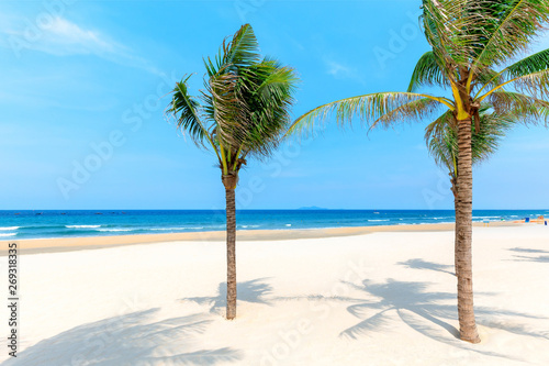 Fototapeta Naklejka Na Ścianę i Meble -  Coconut trees at the beach