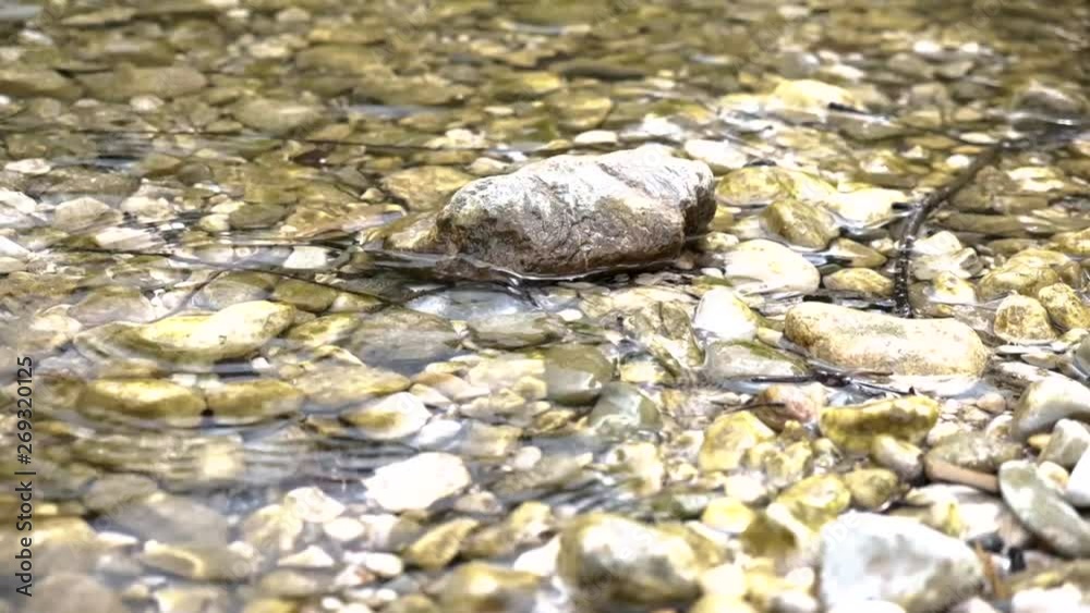 Sava Bohinjska or river Bohinj in Slovenia running from Lake Bohinj to Lake Bled area. Slow motion of beautiful green mountain water running down the creek in Slovenia Sava Bohinjska or river Bohinj in Slovenia running from Lake Bohinj to Lake Bled area. Slow motion of beautiful green mountain water running down the creek in Slovenia