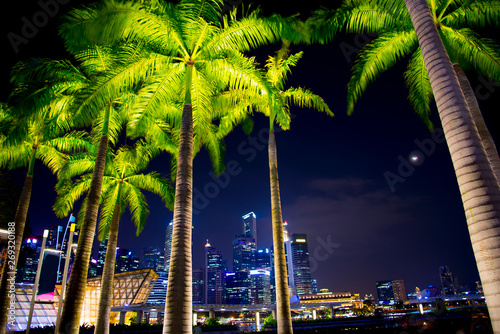 Palms in Marina Bay - Singapore © Adwo