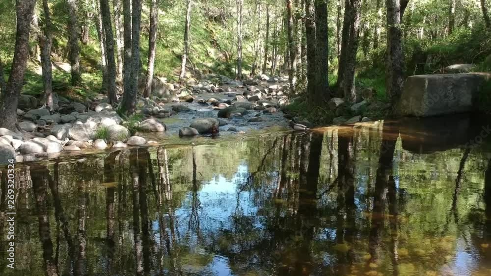 Moving very near over a river´s pond towards a duck