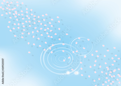 水面と桜の花筏