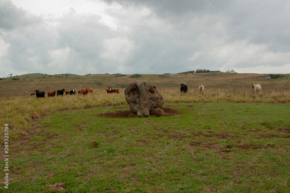 Obraz premium ハワイ島の聖なる場所ヘイアウ