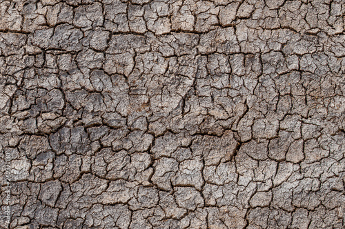 Desert, cracked soil, environment erosion problem seamless pattern