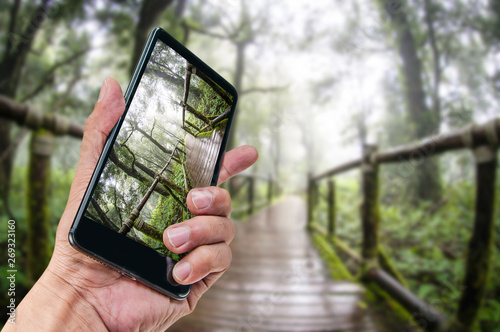 Hand holding smartphone landscape nature background