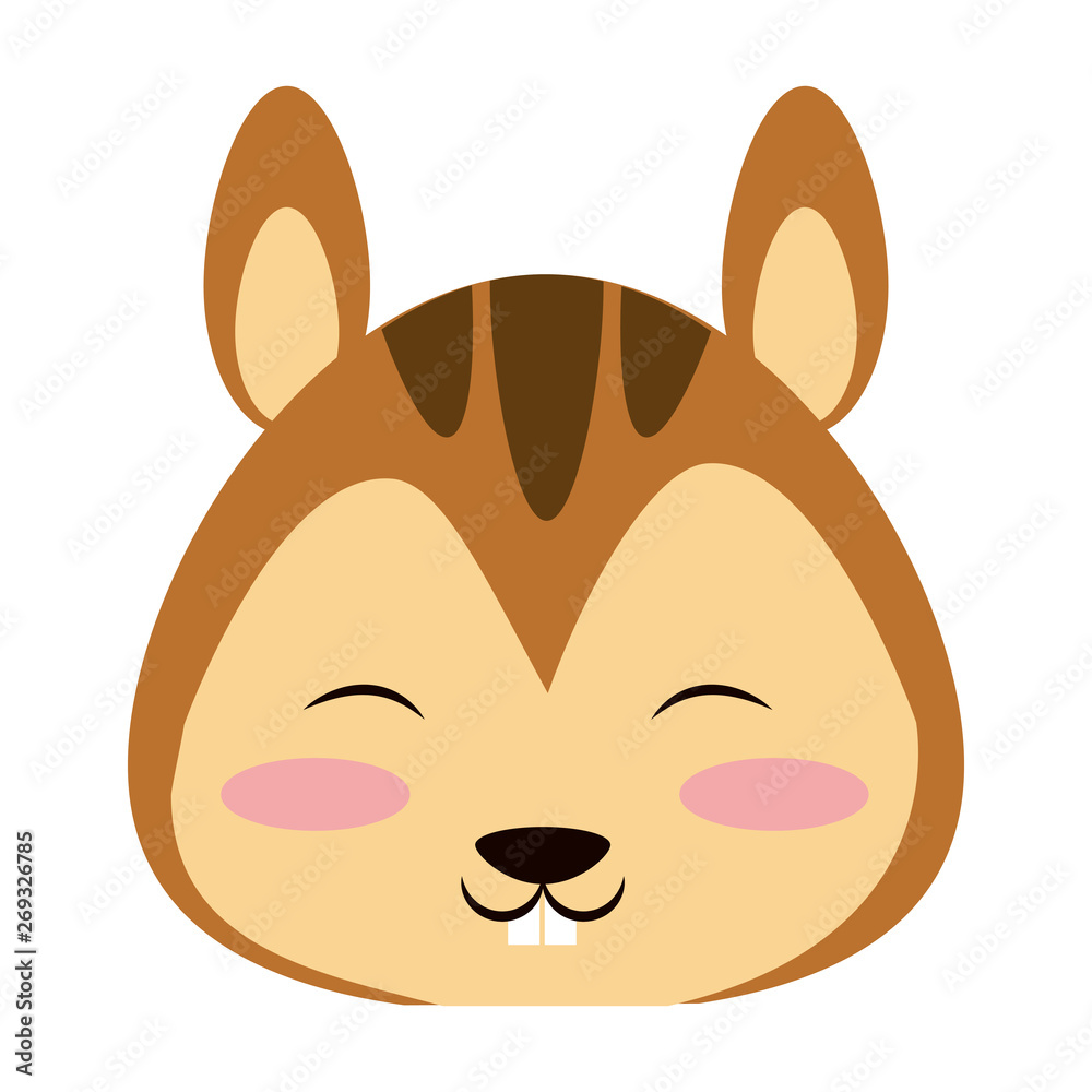 Cute squirrel animal cartoon vector illustration