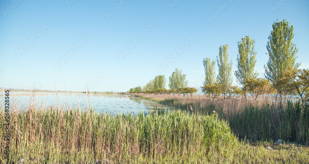Beautiful view. Countryside landscape with the trees. Spring Beautiful view. Countryside landscape with the trees. Spring