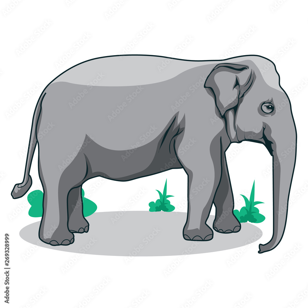 Elephant vector illustration. Elephant animal wildlife vector art