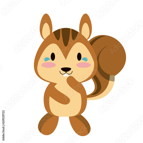 Cute squirrel animal cartoon vector illustration