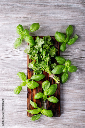 Fototapeta Naklejka Na Ścianę i Meble -  Fresh coriander and basil
