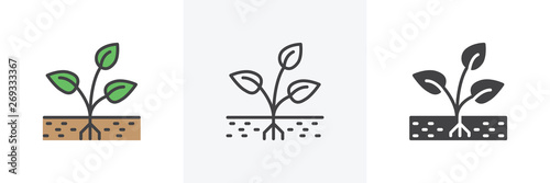 Plant with root in soil icon. Line, glyph and filled outline colorful version, Sprout grow outline and filled vector sign. Symbol, logo illustration. Different style icons set. Vector graphics