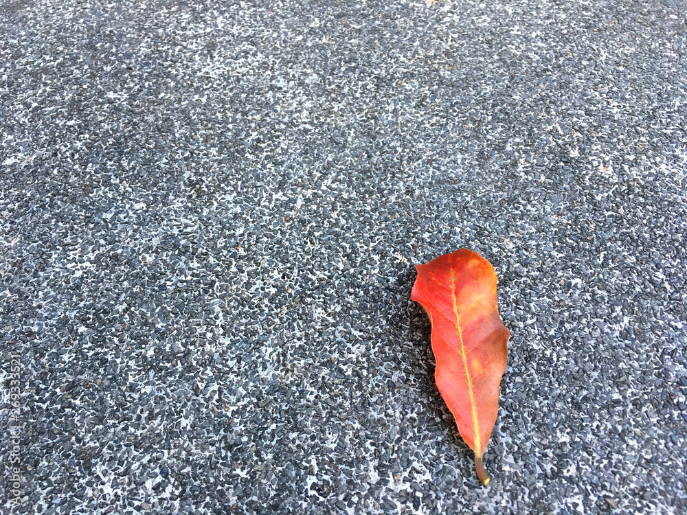 Red dried leaf drop on grainy and small stone floor. Classic surface texture background. Red dried leaf drop on grainy and small stone floor. Classic surface texture background.
