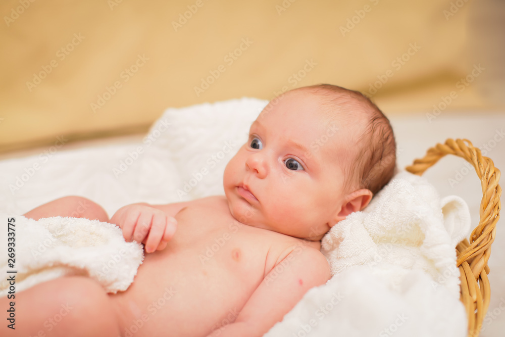 Newborn naked baby is lying in wicker basket. Basket on white wooden background. Newborn photo shoot. Newborn naked baby is lying in wicker basket. Basket on white wooden background. Newborn photo shoot.