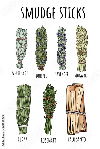 Sage smudge sticks hand-drawn set of doodles. Herb bundles collection