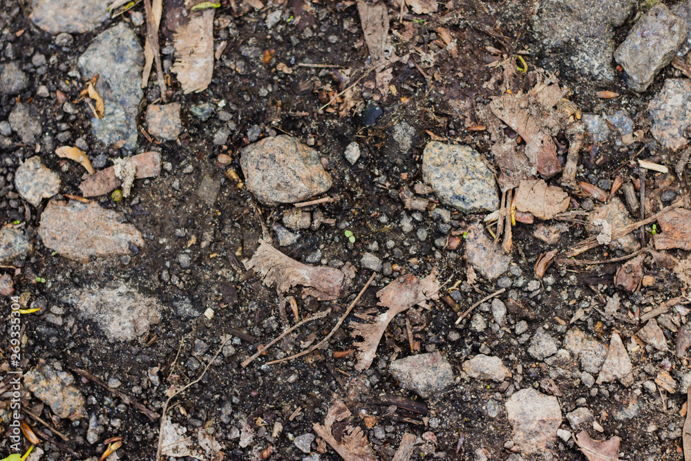 stone texture stone texture