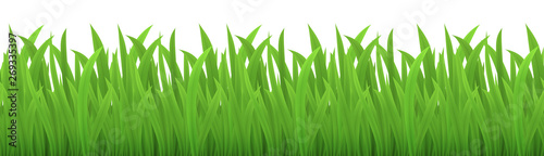 Vector seamless image of green grass isolated on white. EPS 10.