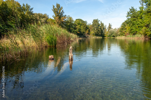 Eau claire dans un bras mort du Rhin photo