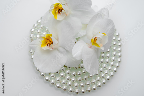 Fototapeta Naklejka Na Ścianę i Meble -  pearl and white orchid on a white glas 