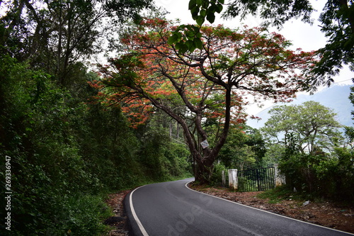 Munnar to Bodinayakanur Road Trip photo