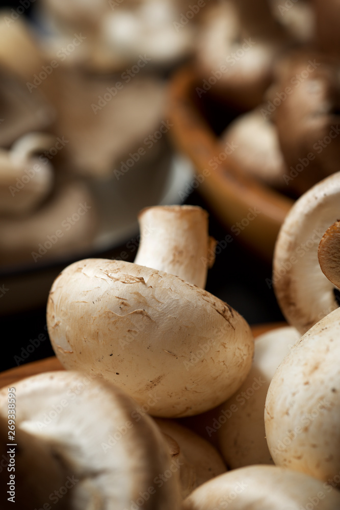 Mushrooms close up