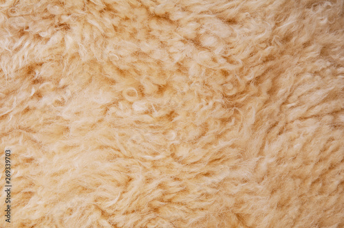 Sheep's wool. Sheep wool texture lamb background