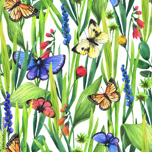 Seamless pattern of plants and insects butterflies. Hand drawing watercolor.  © Anna