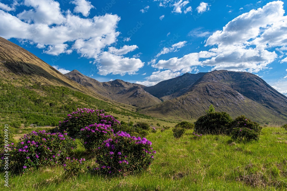 Obraz premium Glen Etive