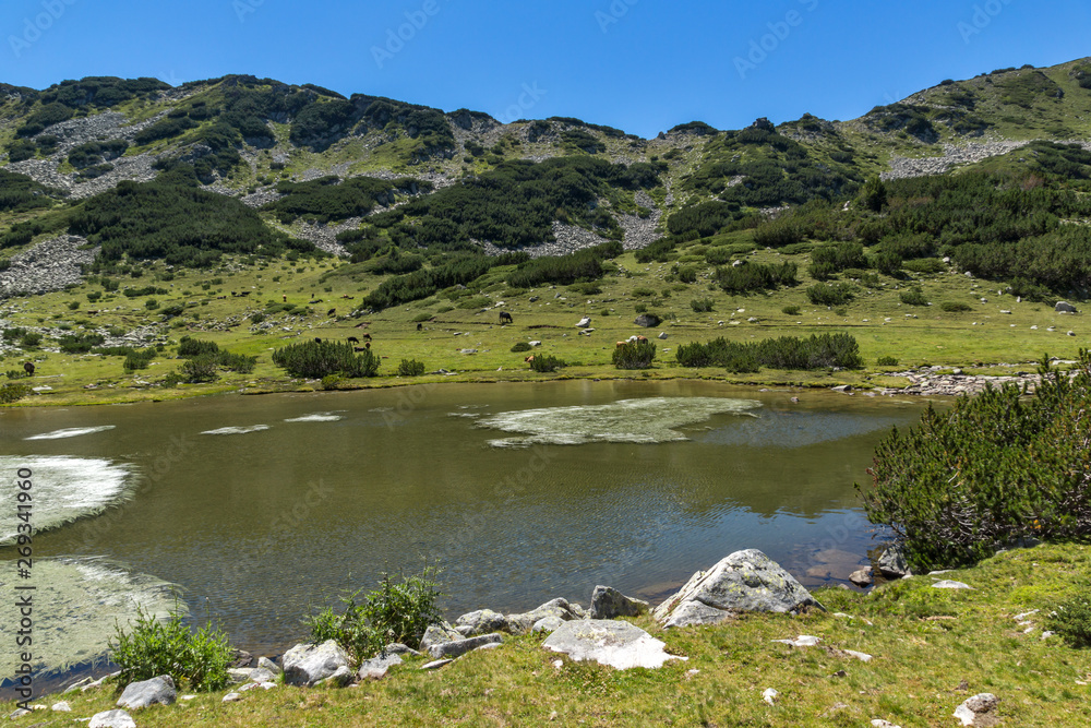 Amazing Landscape with Prevalski lakes near Mozgovishka pass, Pirin Mountain, Bulgaria