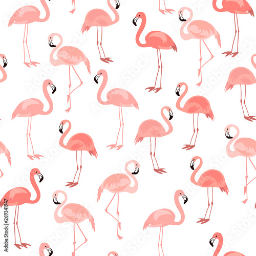 Seamless pattern with pink flamingo