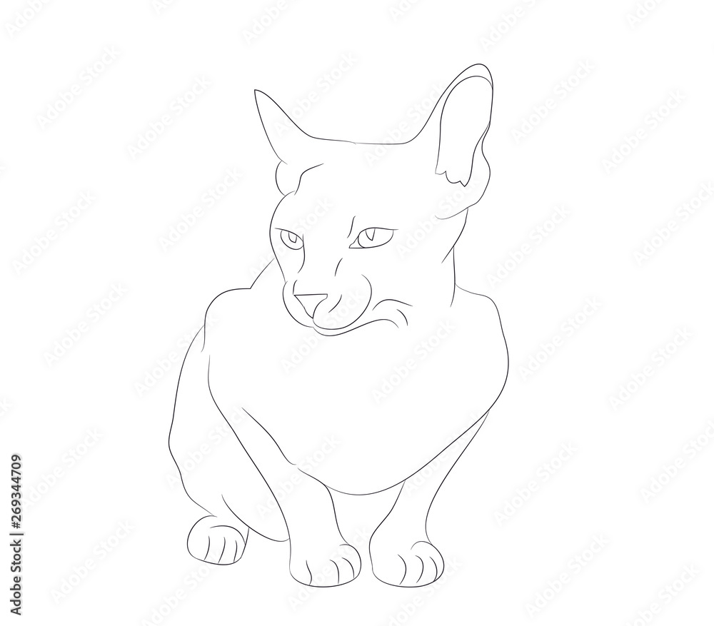 Obraz premium vector illustration cat sitting, drawing lines