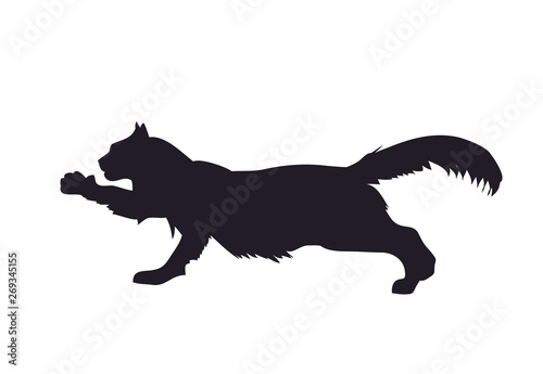 vector illustration of a cat that lapsing paw, drawing silhouette © Aleksandra Nesterova