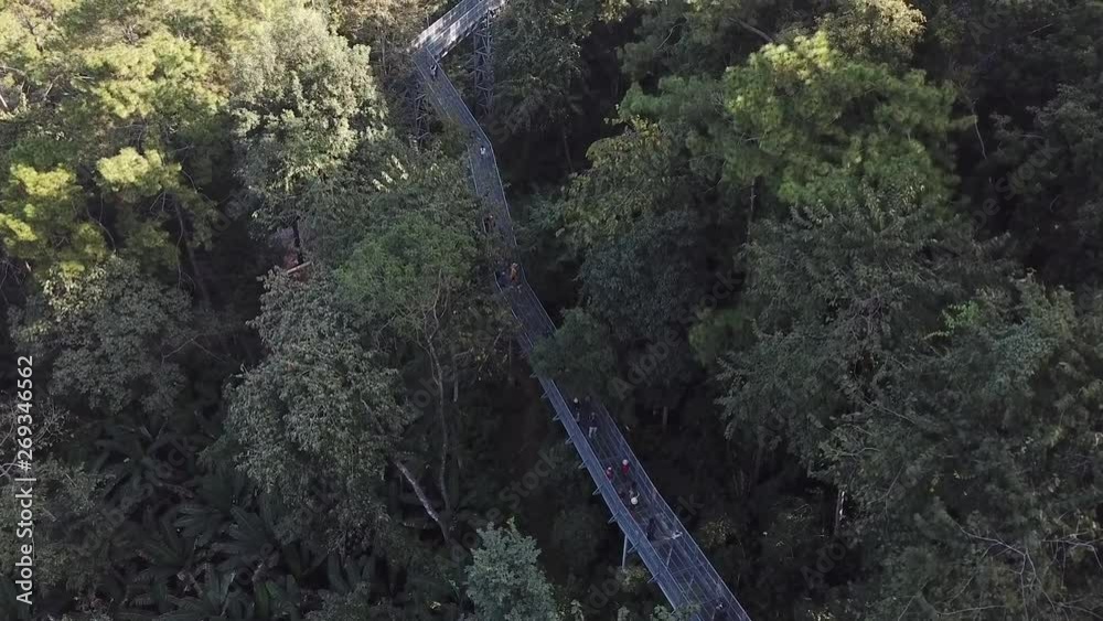Chiang Mai,Thailand - December 25 2017 : Aerial video in an amazing landscape above Queen's Garden in a beautiful day. Many tourist come to experience the atmosphere of beautiful flowers in winter. Chiang Mai,Thailand - December 25 2017 : Aerial video in an amazing landscape above Queen's Garden in a beautiful day. Many tourist come to experience the atmosphere of beautiful flowers in winter.