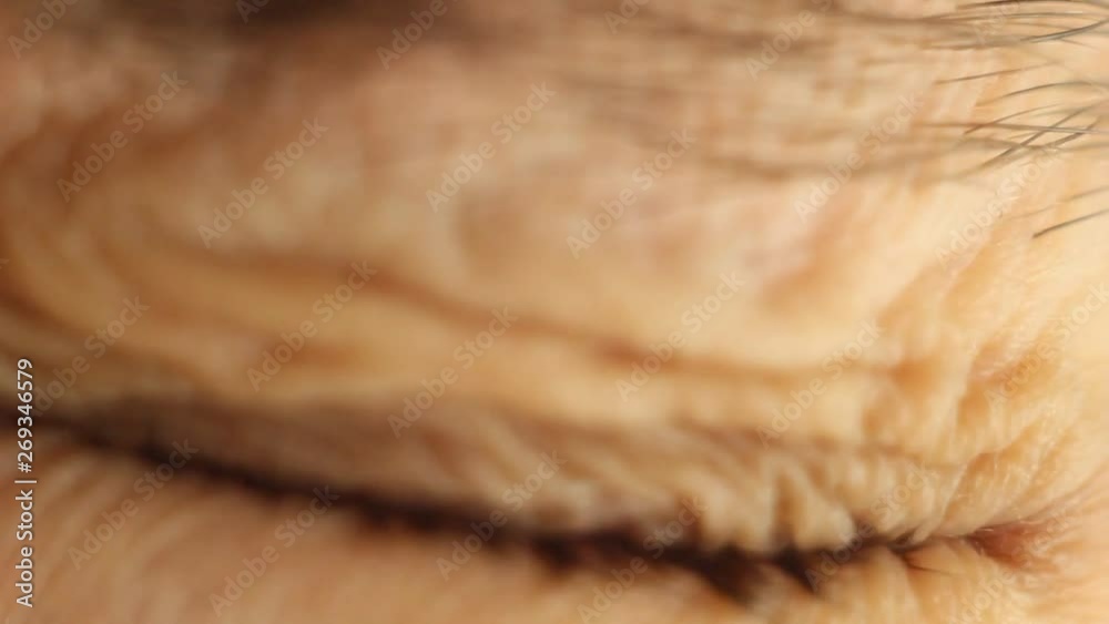 blinking male eye close-up looking around. red artery on the eyeball macro. pupil reaction to light. Mioz and Midriaz. closing and opening the eyelid blinking male eye close-up looking around. red artery on the eyeball macro. pupil reaction to light. Mioz and Midriaz. closing and opening the eyelid