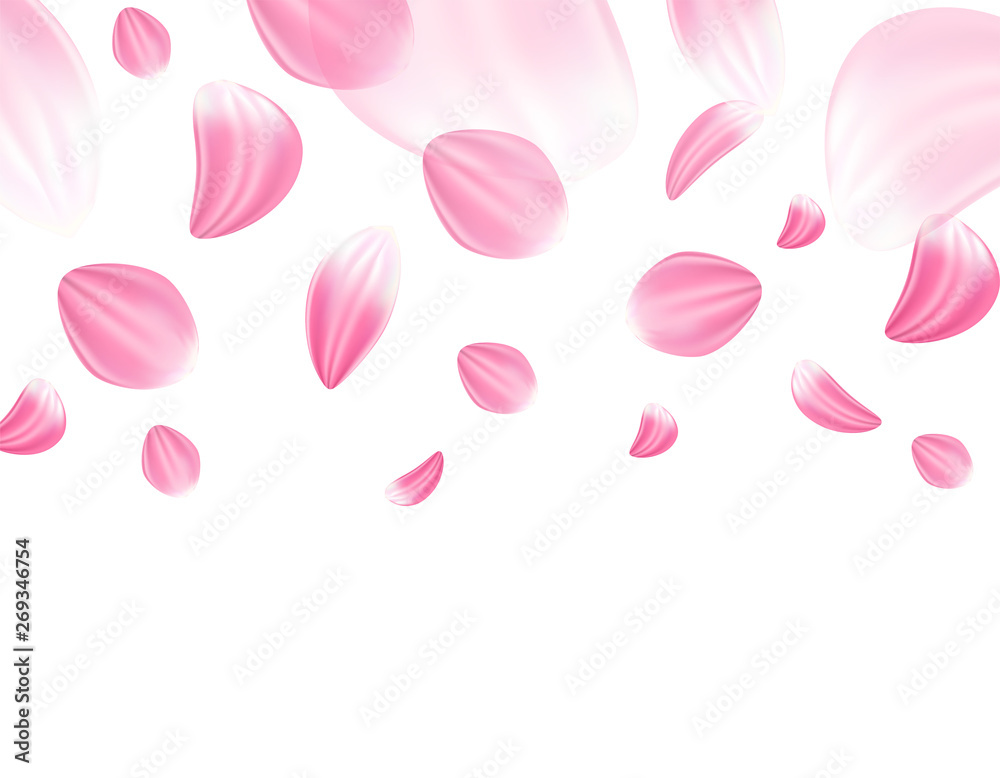 Hello spring background. Flowers petals. flying petals on white background . light and shadow . Vector. Hello spring background. Flowers petals. flying petals on white background . light and shadow . Vector.