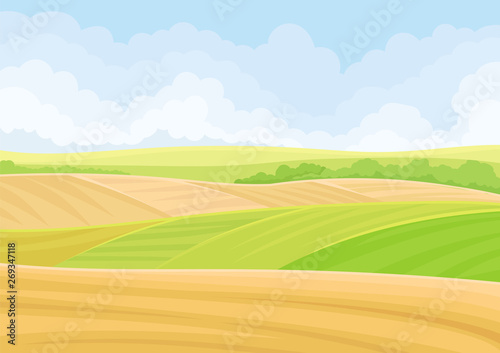 Green and yellow fields. Vector illustration on white background.