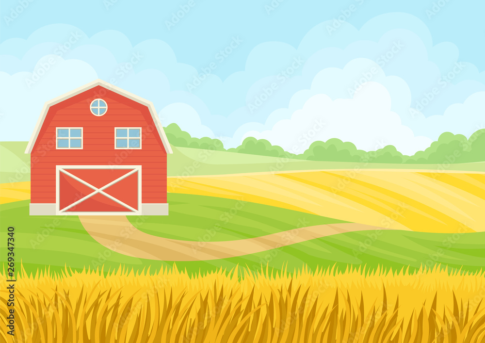 Large red barn in a field of wheat. Vector illustration on white background.