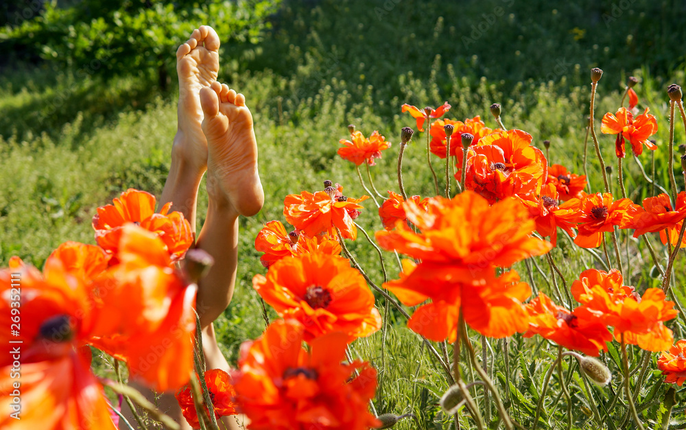 Obraz Female legs of young woman relaxing on a sunny meadow with red poppies