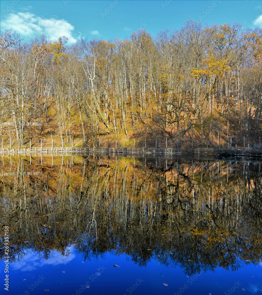 autumn trees reflected in water autumn trees reflected in water