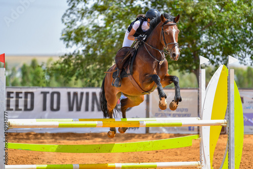 Fototapeta Młody jeździec skaczący nad przeszkodami podczas zawodów w skokach konnych
