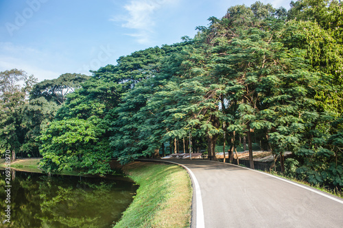 Beautiful view of asphalt road between gorgeous trees and lake, in sunny day. With copy space.
