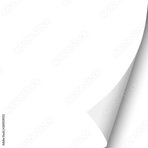 Sheet of white paper with curled lower right corner. Vector paper mockup.
