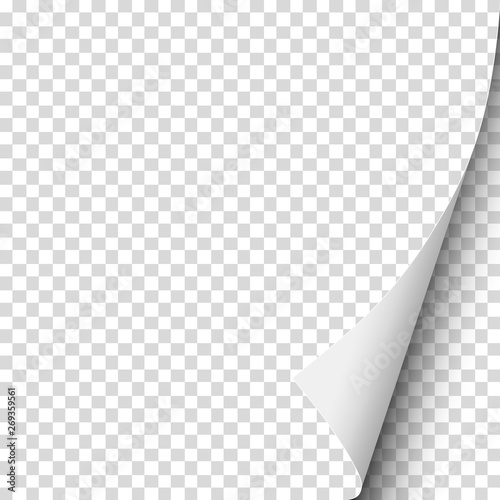 Sheet of transparent paper with curled lower right corner. Vector paper mockup.