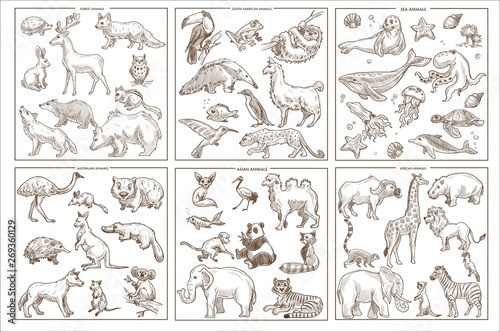 Wild animals species sketch icons birds mammals and amphibians