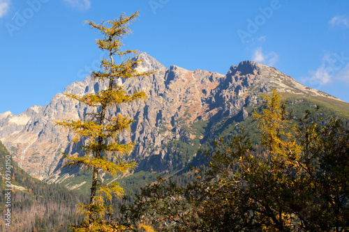 Great Cold Valley in Vysoke Tatry  High Tatras   Slovakia. The Great Cold Valley is 7 km long valley  very attractive for tourists