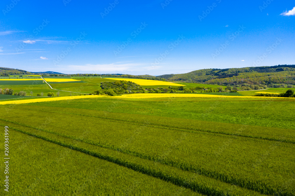 Fototapeta premium Aerial view, agriculture with cereal fields and rapeseed cultivation, Usingen, Schwalbach, Hochtaunuskreis, Hesse, Germany