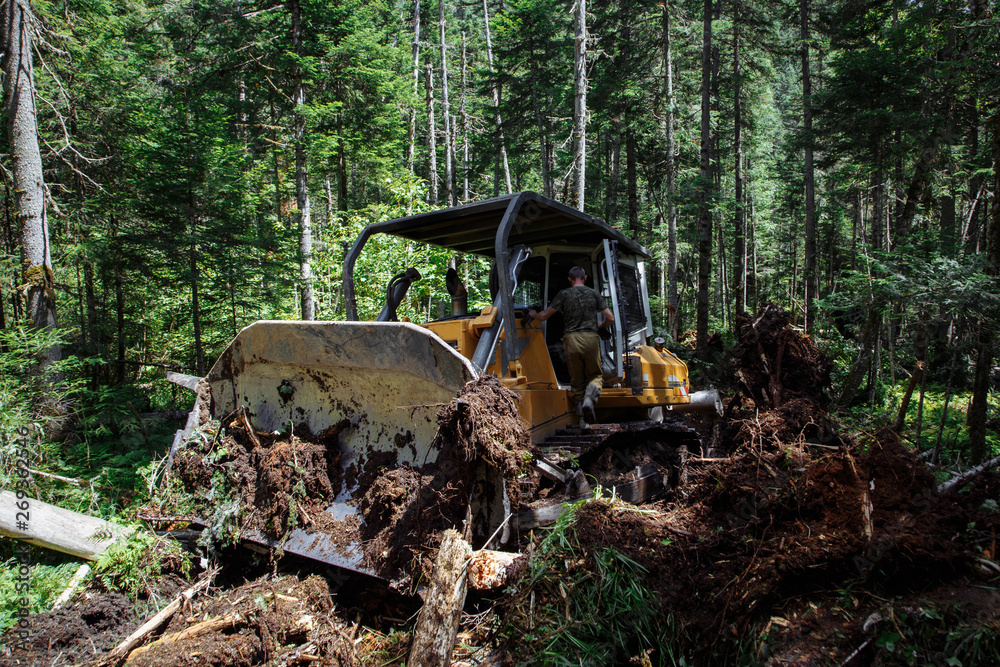 Construction of a road. Bulldozer at work. Destruction a forest. Broken and  fallen trees. with a blue sky on the background. Stock Photo | Adobe Stock