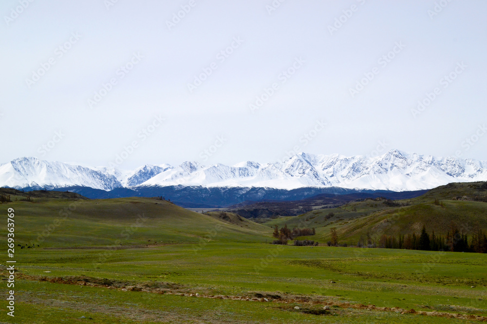 Meadow in fron of snowy mountains.
