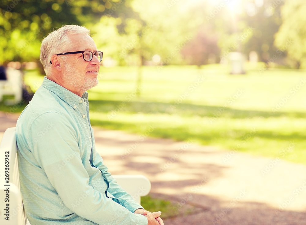 old age and people concept - happy senior man in glasses sitting at summer park old age and people concept - happy senior man in glasses sitting at summer park