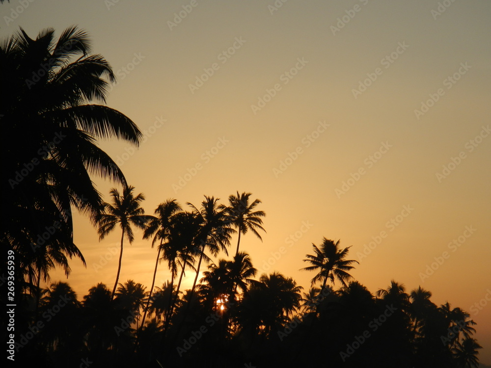 black palm trees on yellow orange sunset background