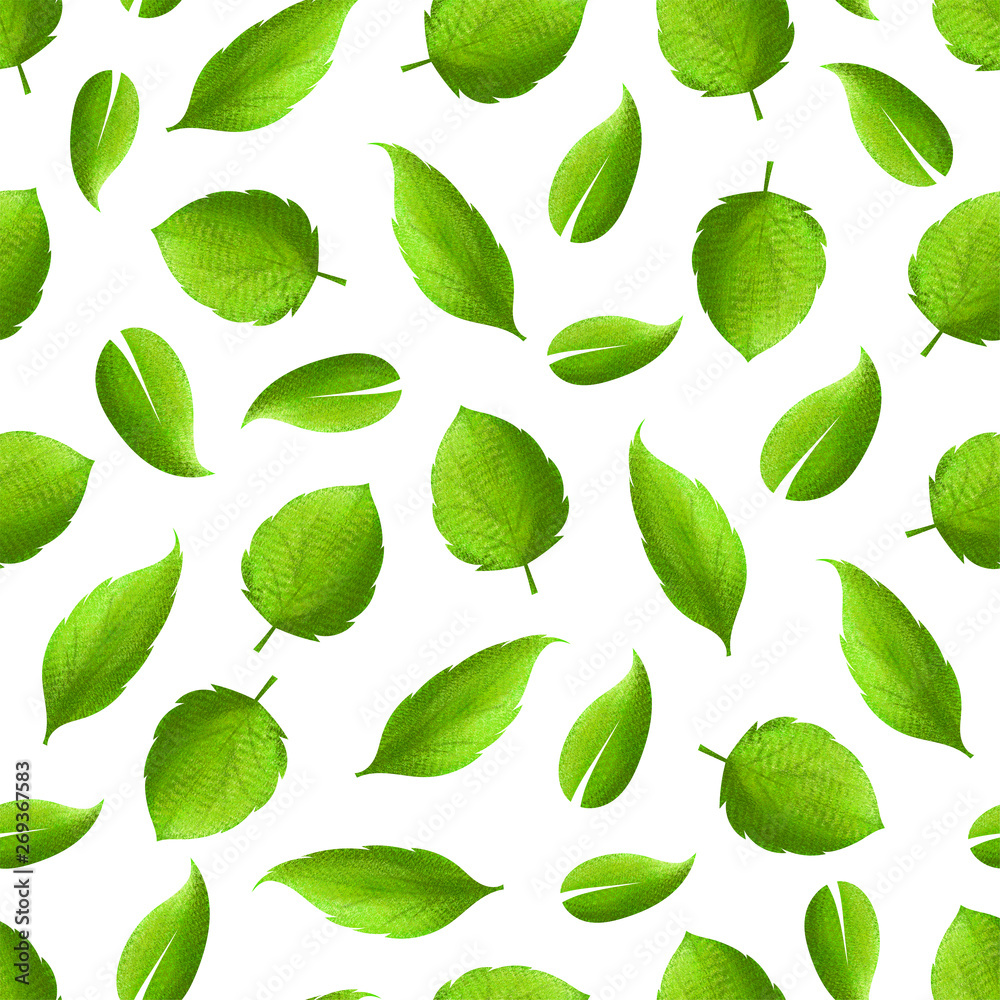 Illustration of leaves
